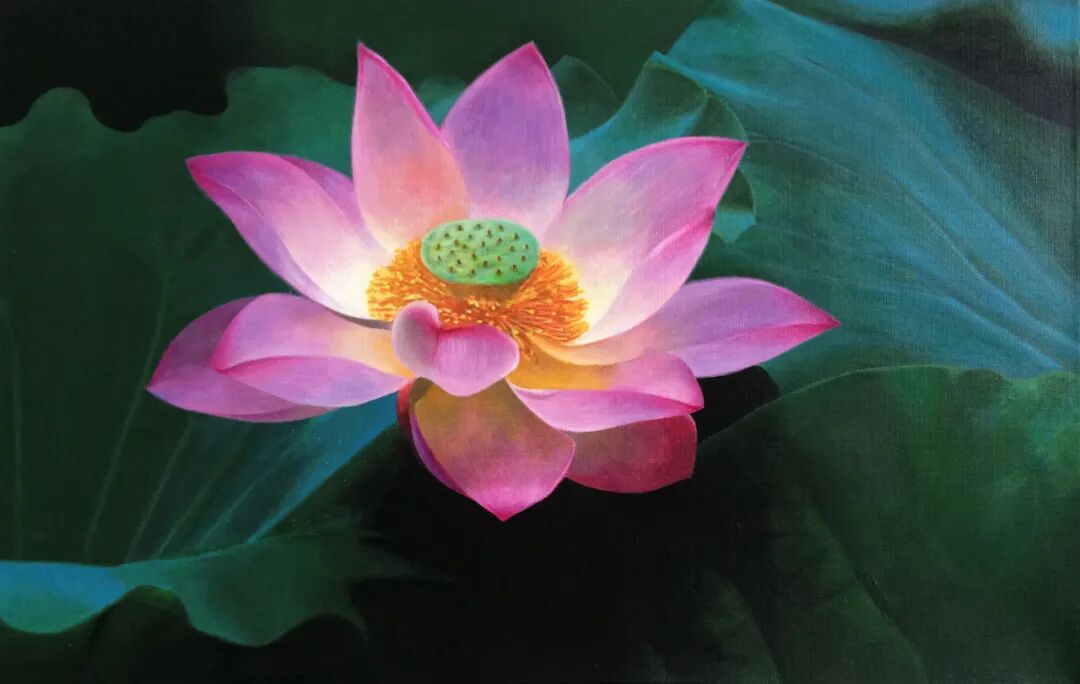 cover_image