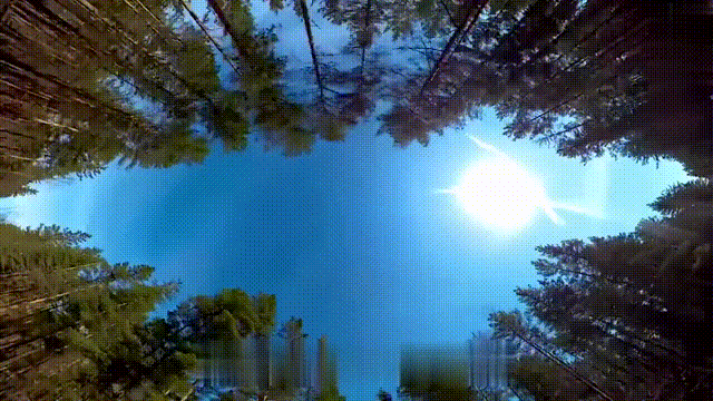 cover_image