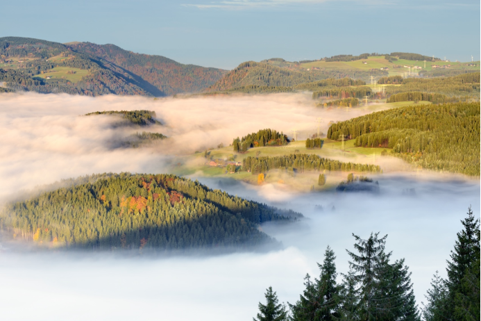 cover_image