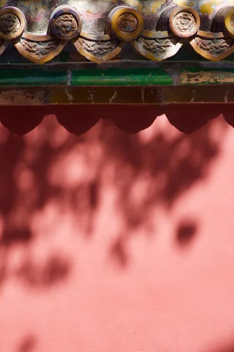 cover_image