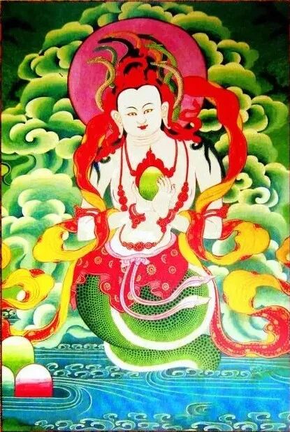 作者头像
