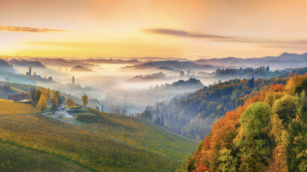 cover_image