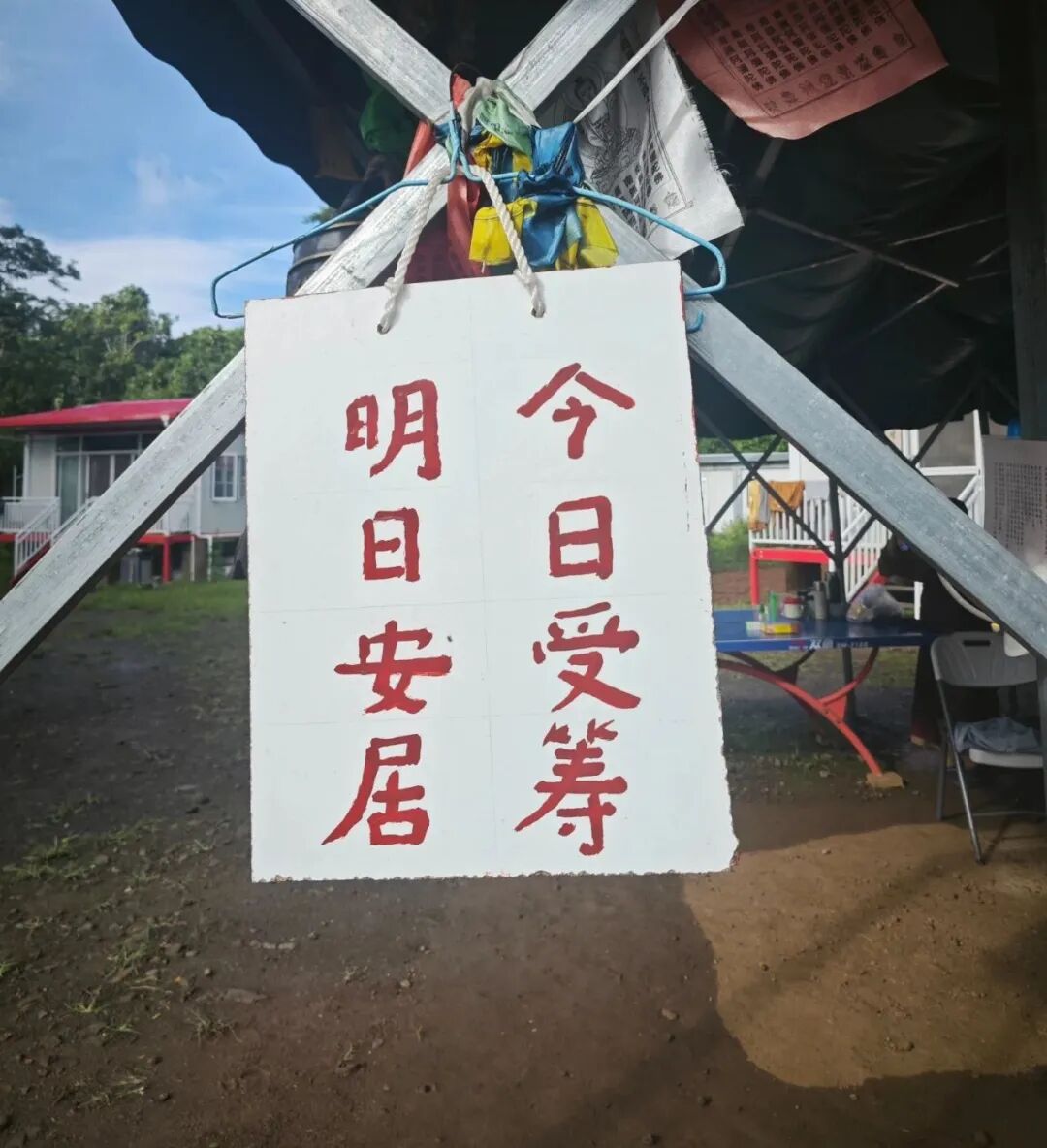 作者头像