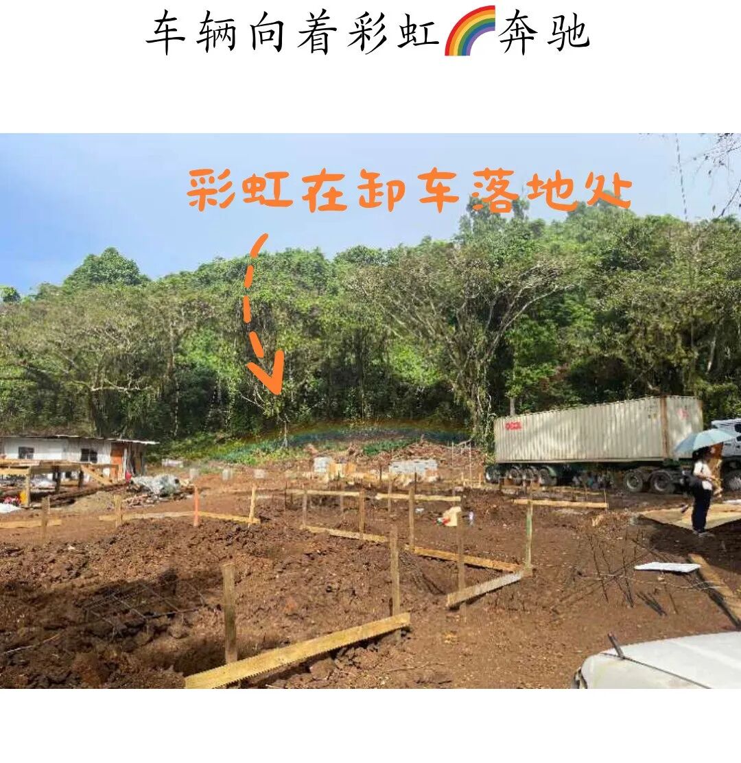 作者头像