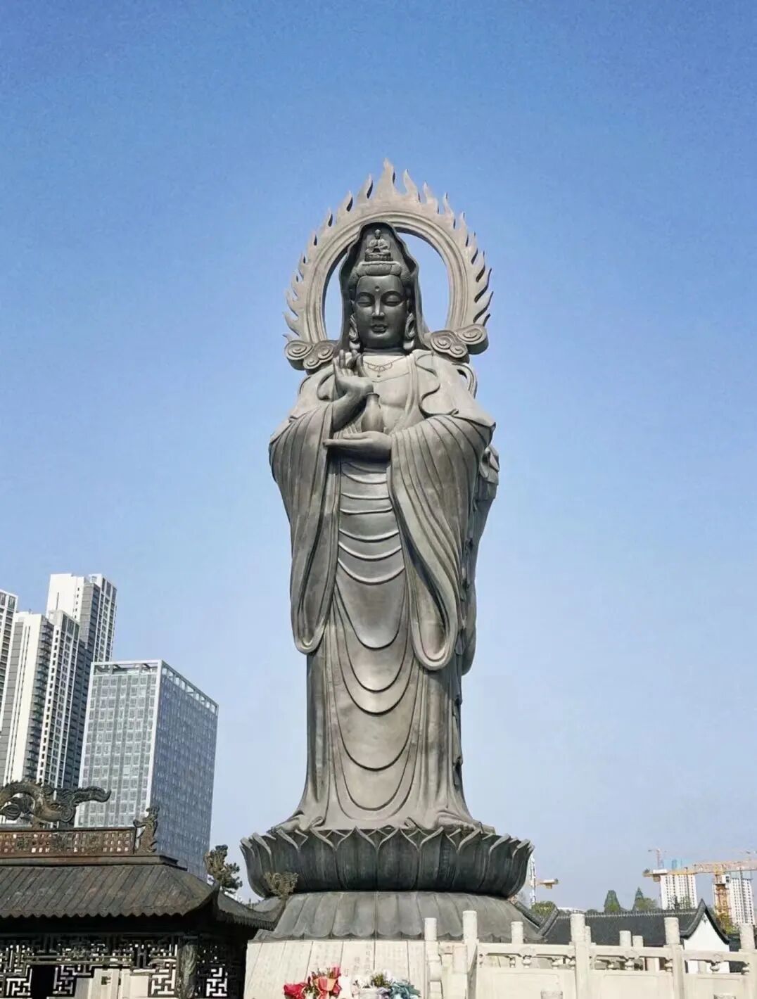 cover_image