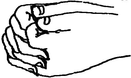 cover_image
