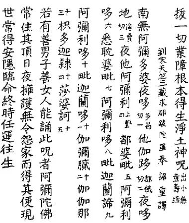 cover_image