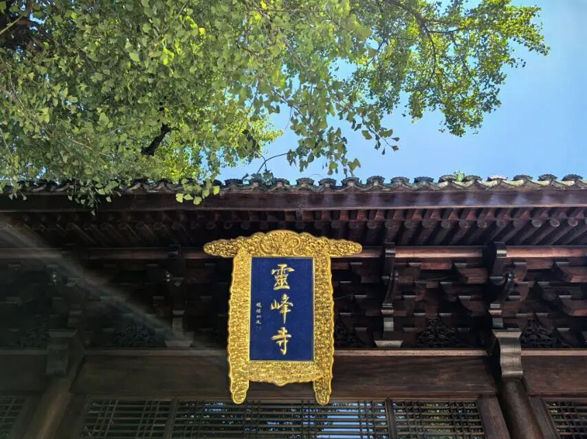 cover_image