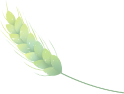 cover_image