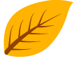 cover_image