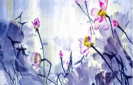 cover_image