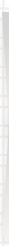 cover_image