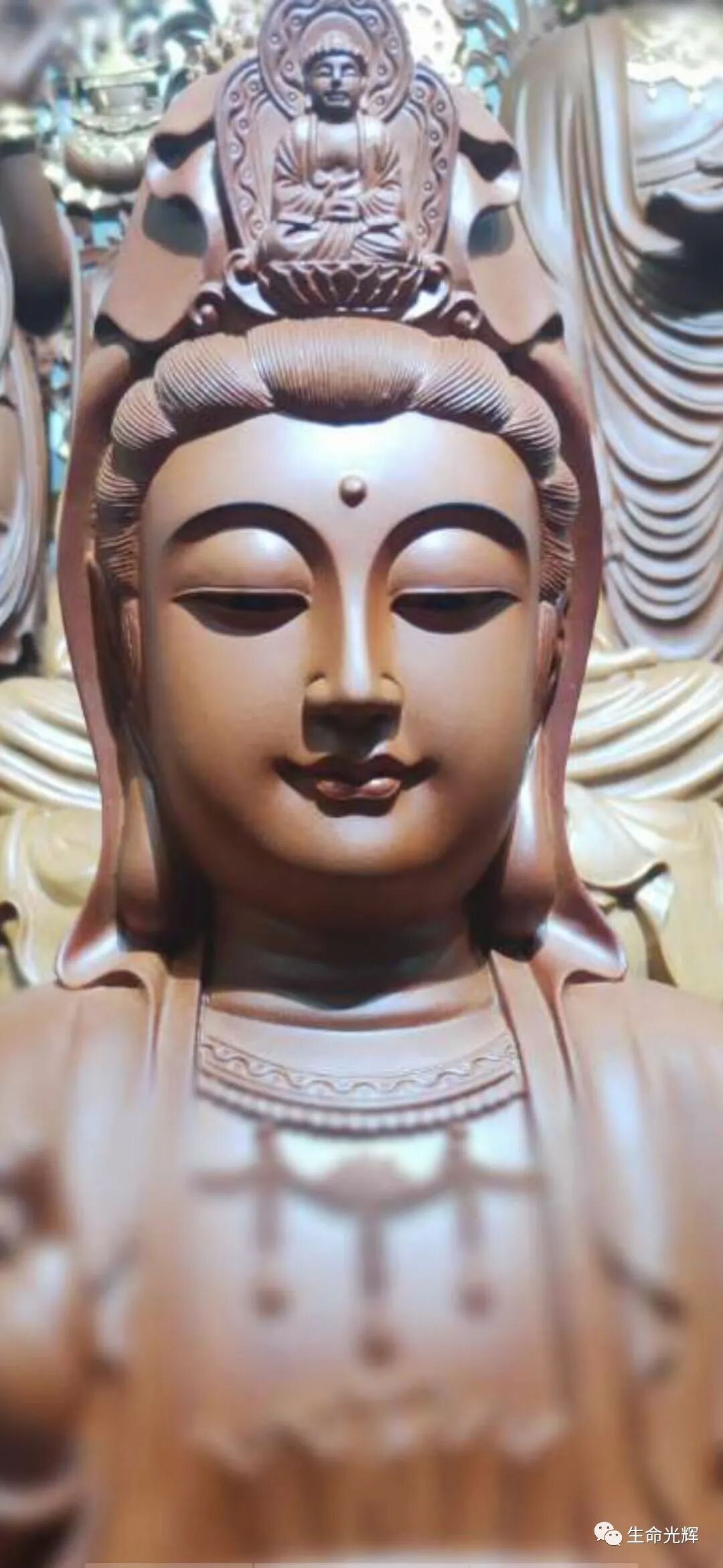 cover_image