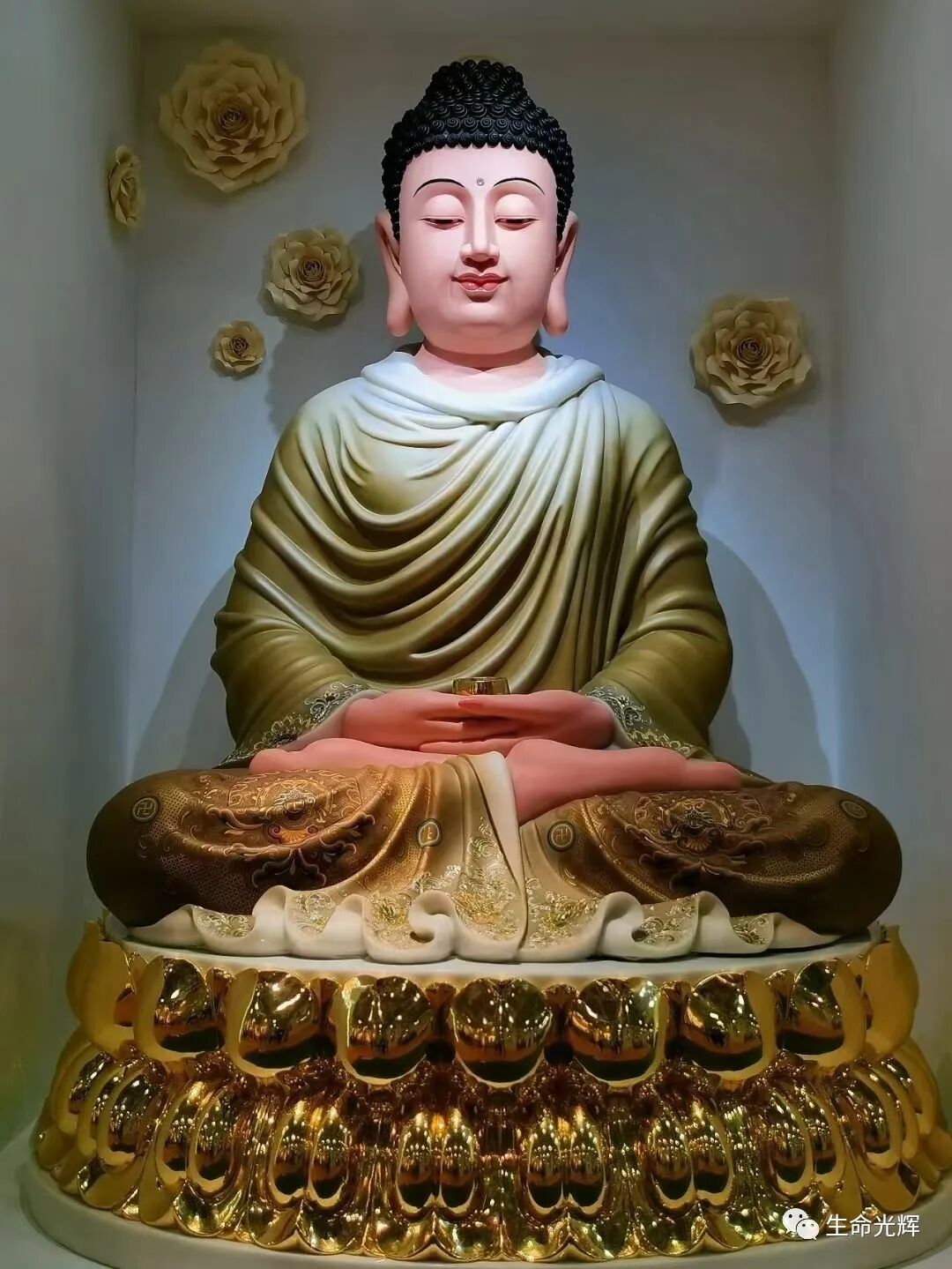 cover_image