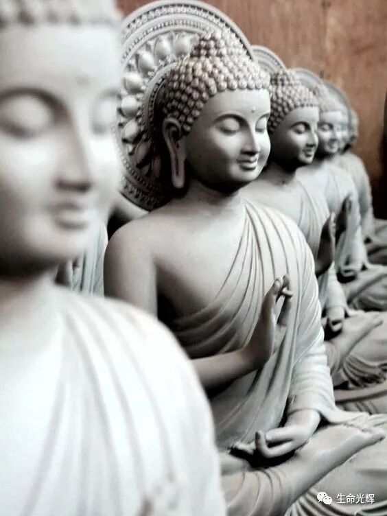 cover_image