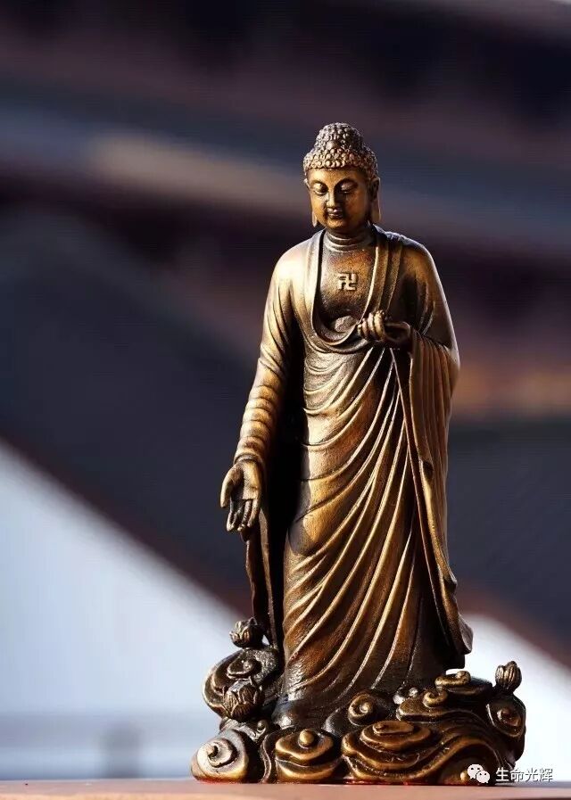 cover_image