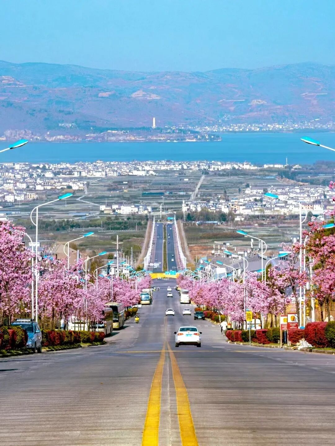 cover_image