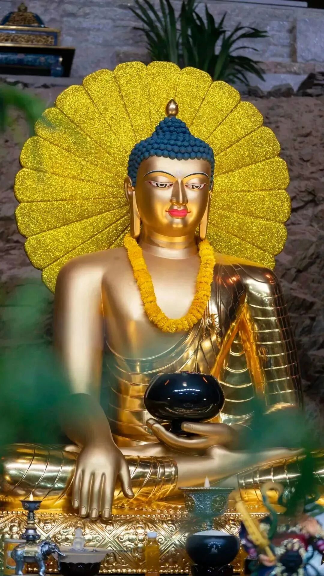 cover_image