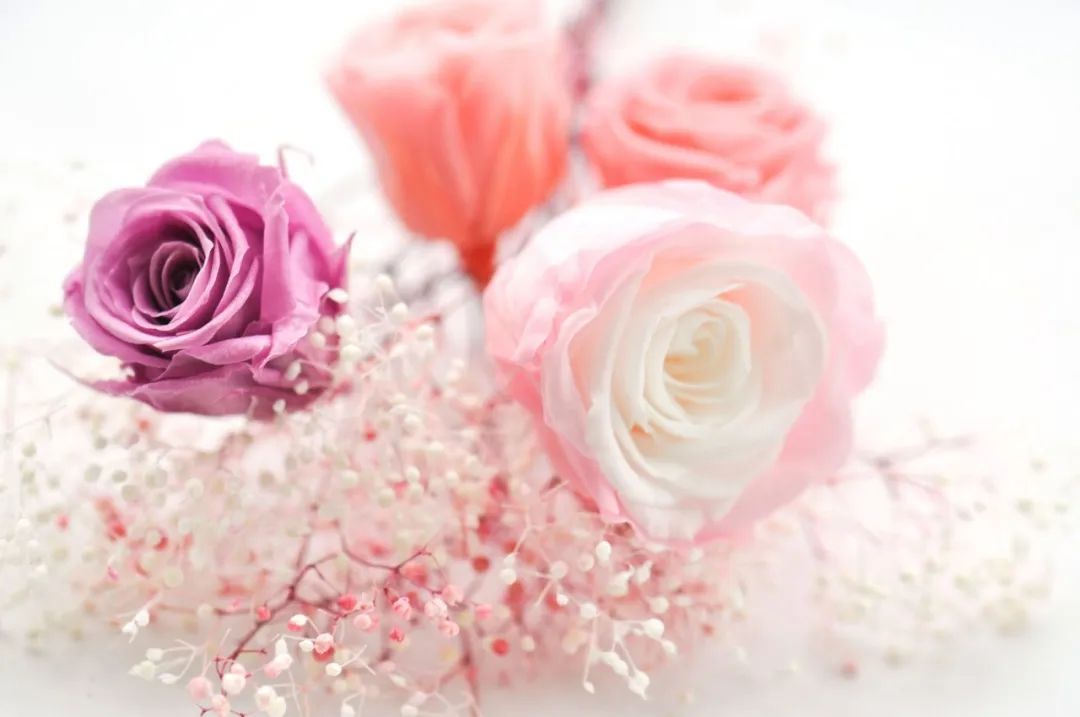 cover_image