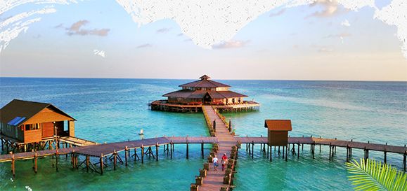 cover_image