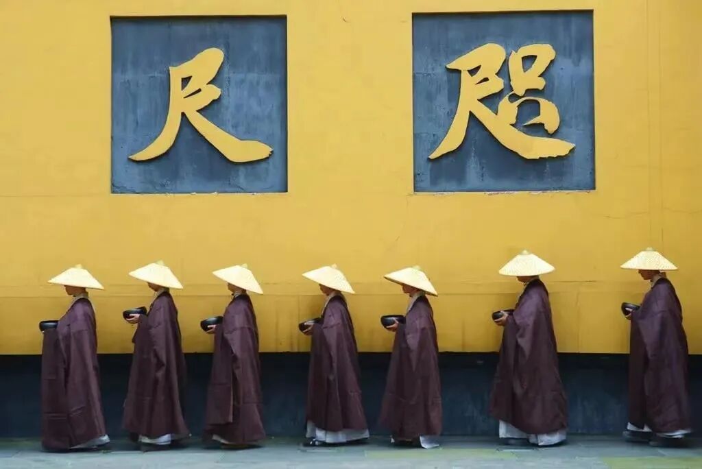 cover_image
