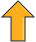 cover_image