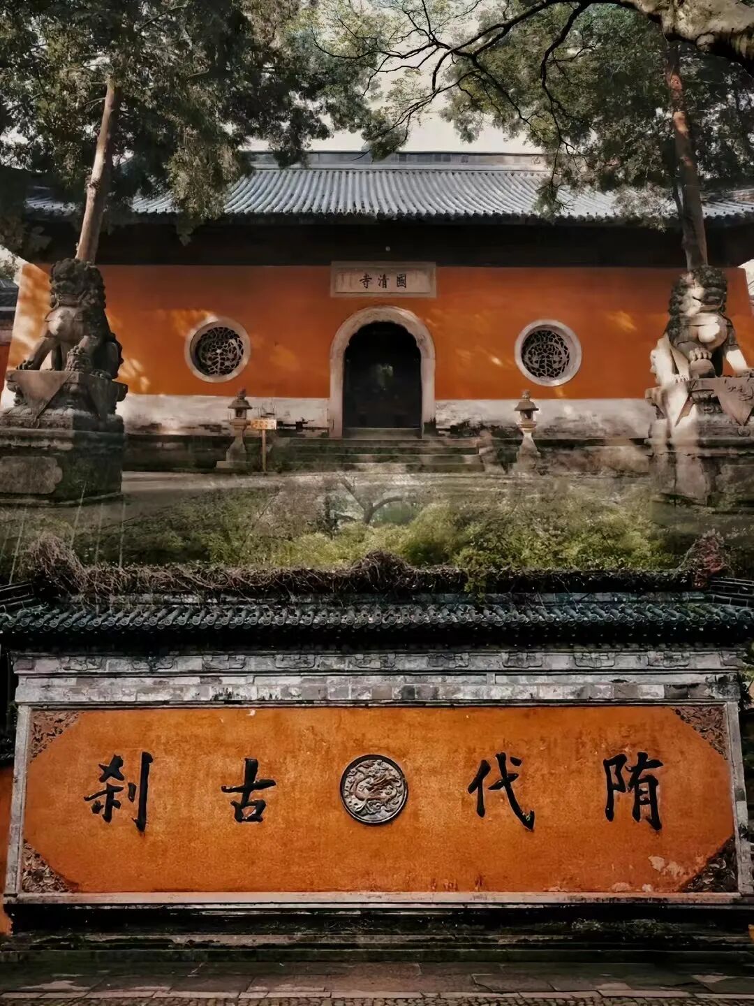 cover_image
