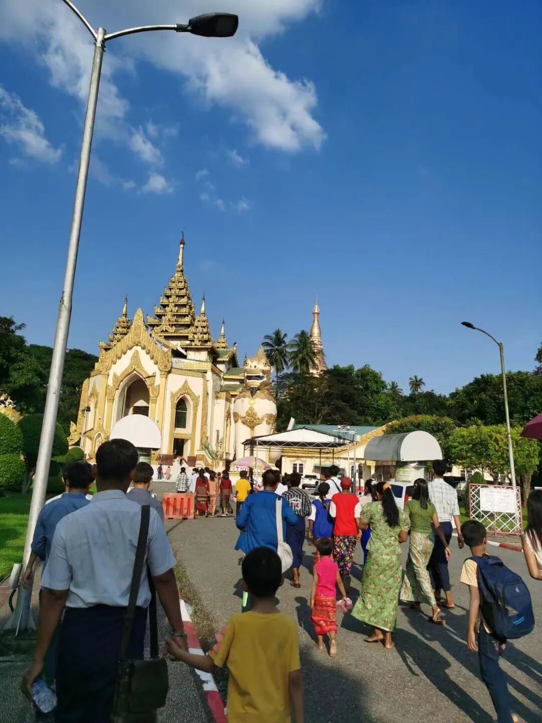 cover_image