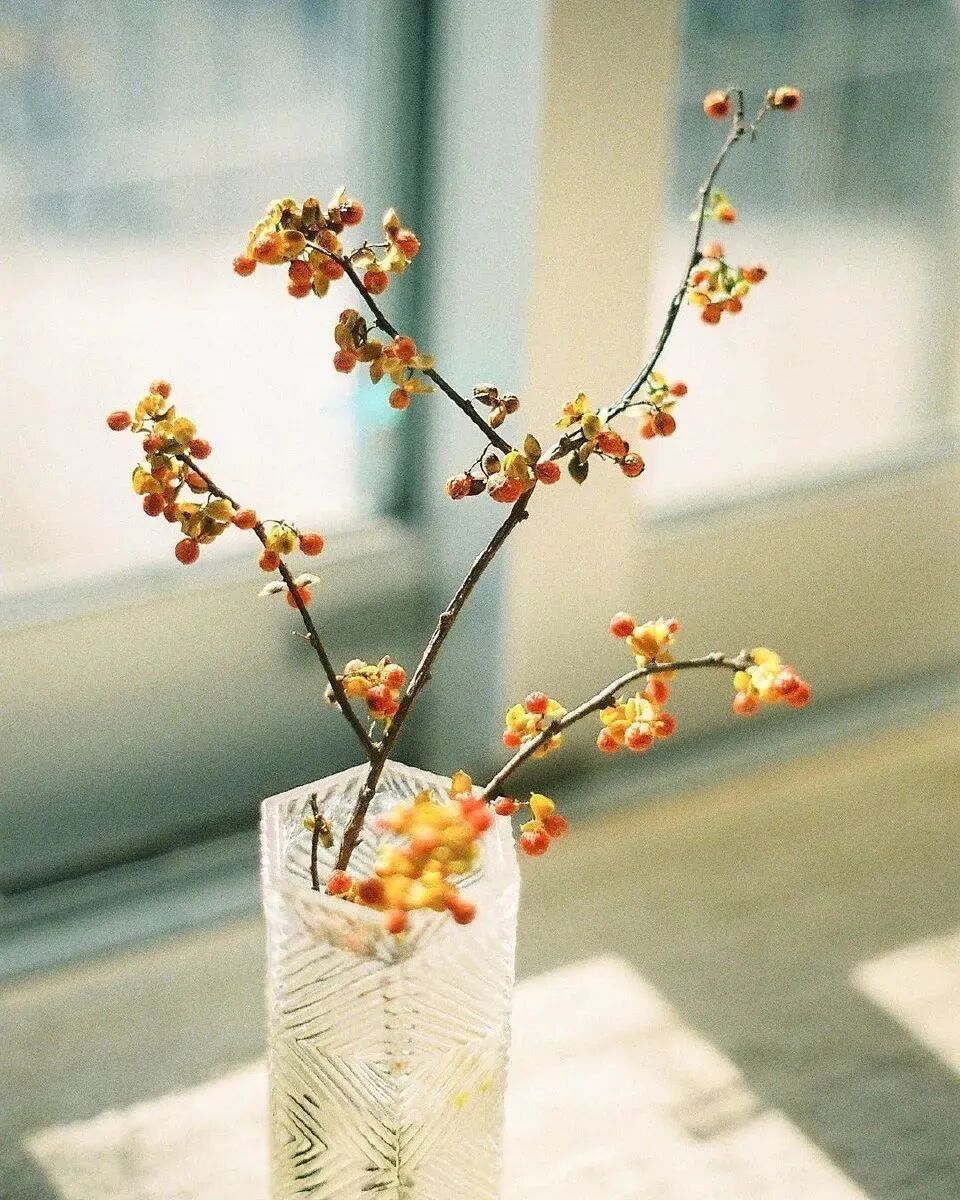 cover_image