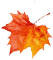 cover_image