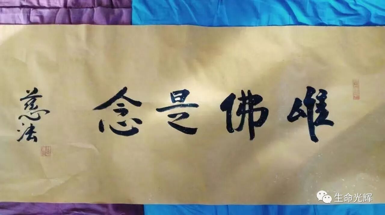 作者头像