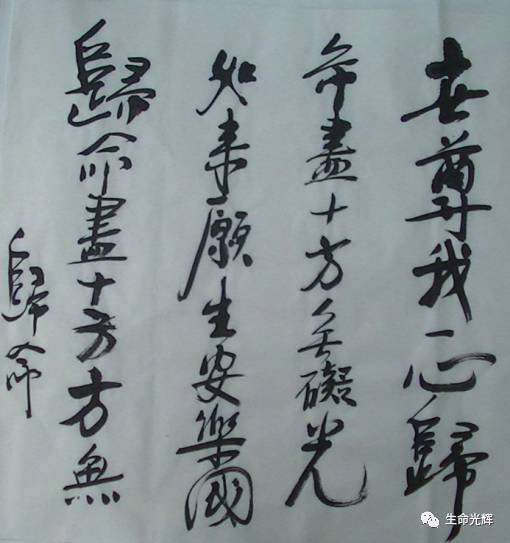 作者头像