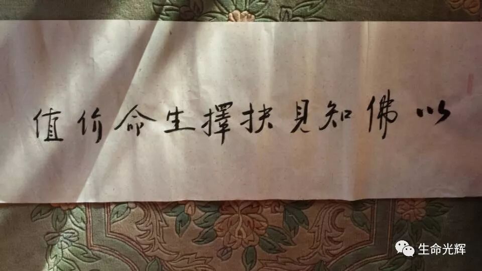 作者头像