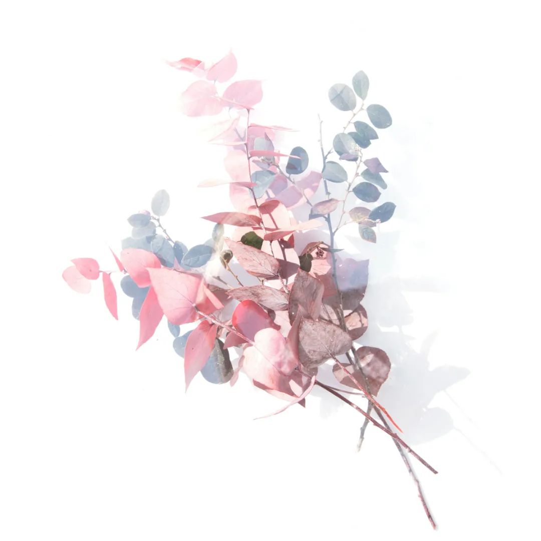 cover_image