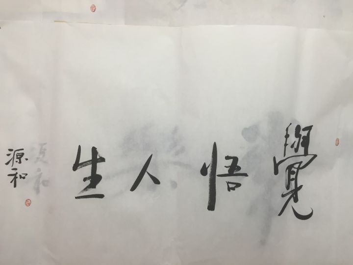 作者头像