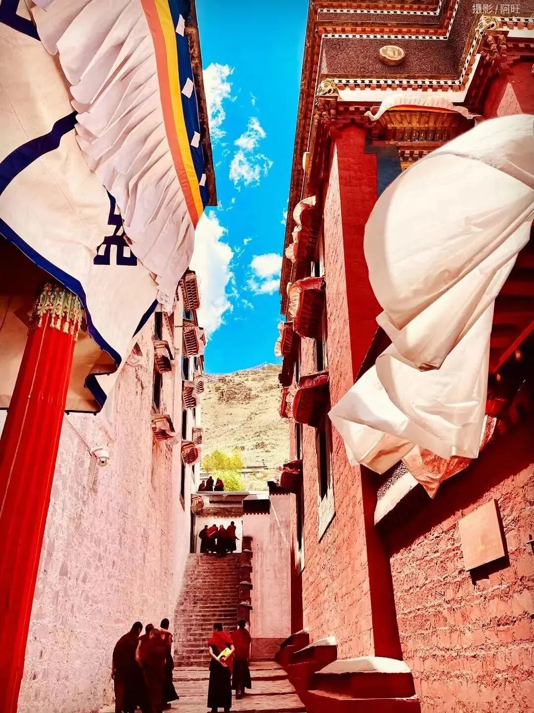 cover_image
