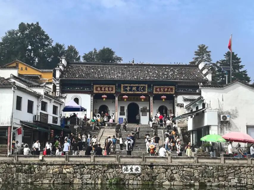 cover_image