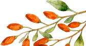 cover_image