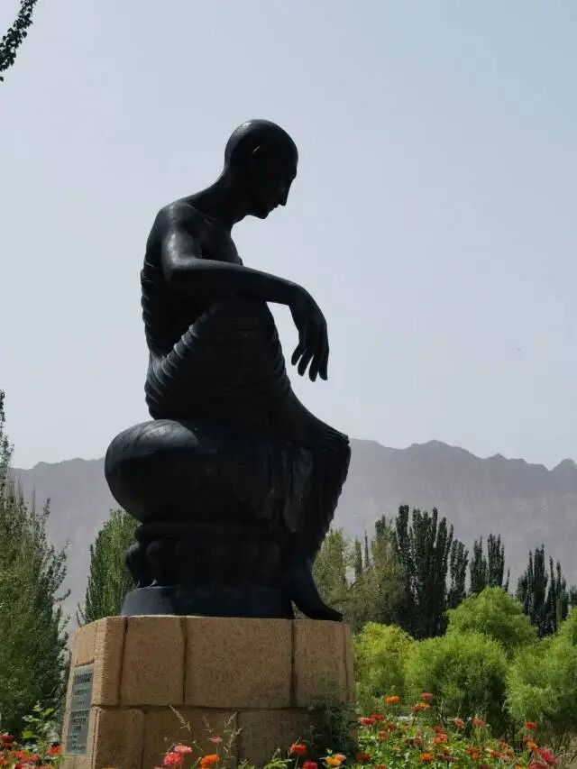 cover_image