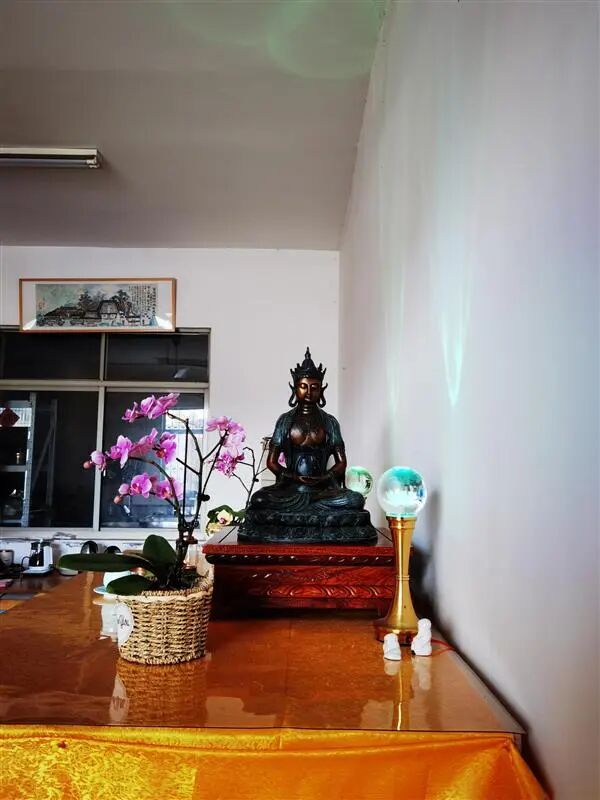 cover_image