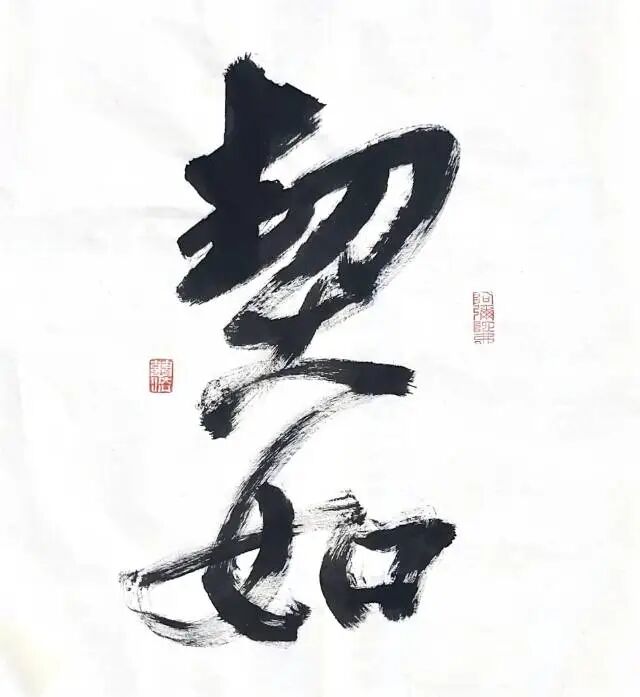 cover_image