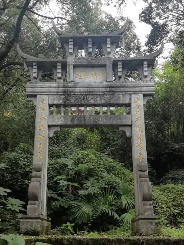 cover_image