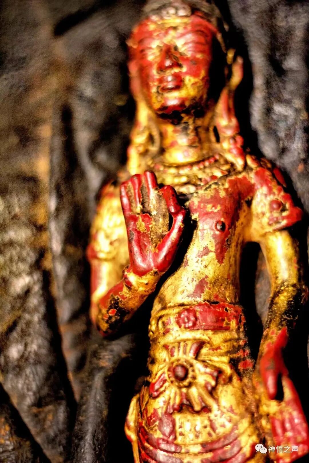 cover_image