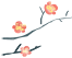 cover_image