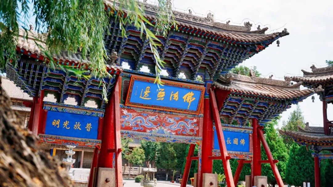 cover_image