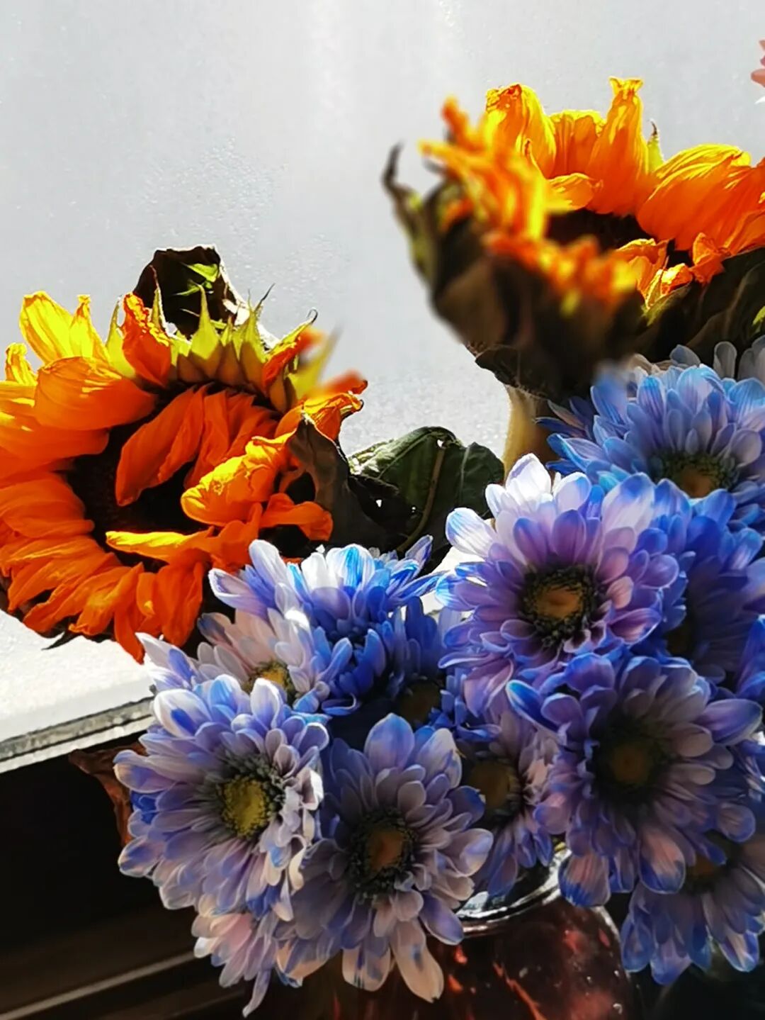 cover_image