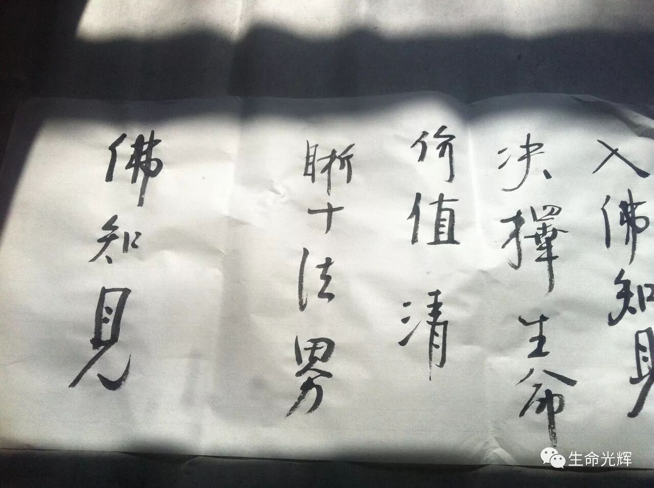 作者头像