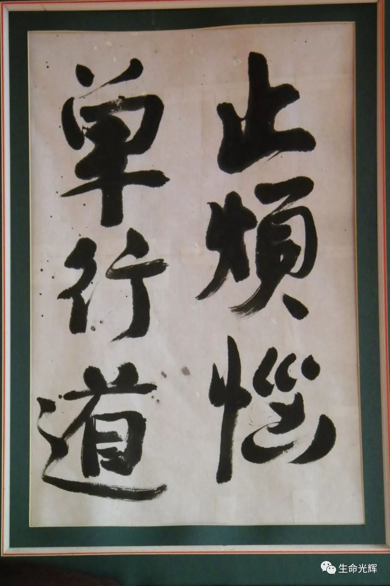 作者头像