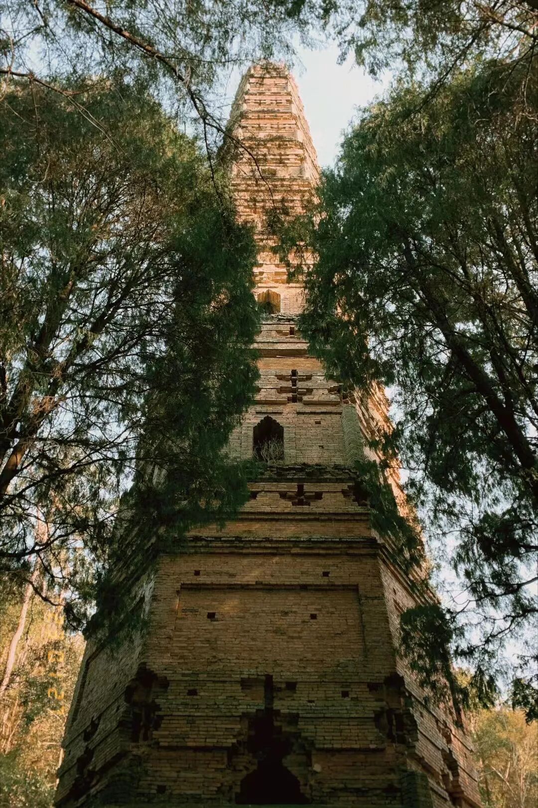 cover_image