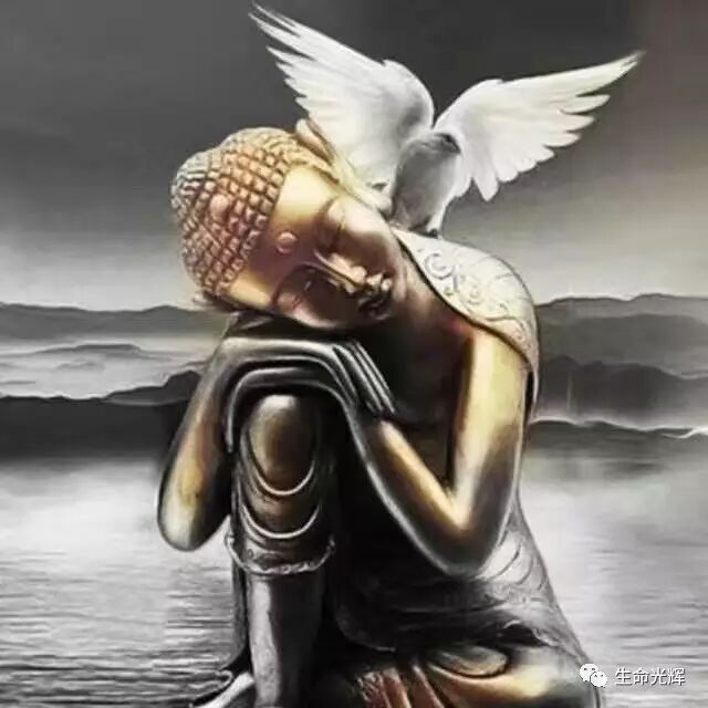 作者头像
